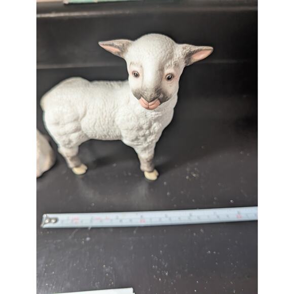 Kazmar Lambs Ram and Ewe set official certificate - Picture 1 of 10